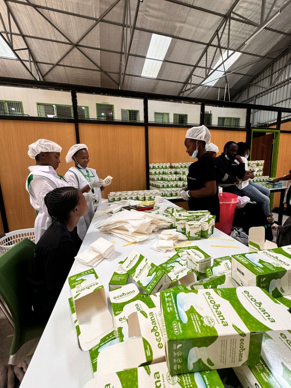 EcoBana factory floor with staff packing biodegradable sanitary pads into green boxes.