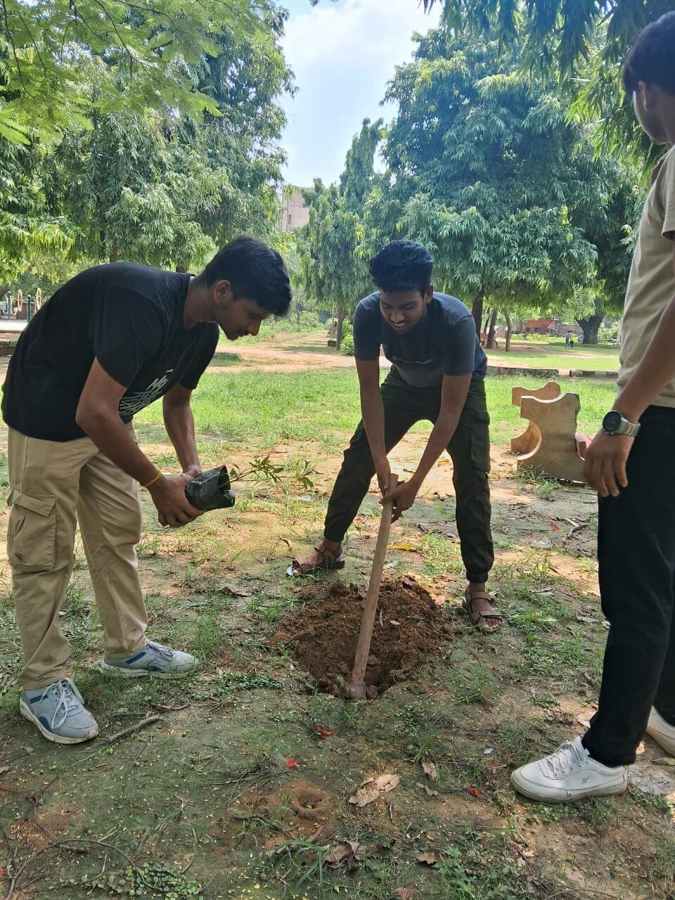 Tree Plantation (India)